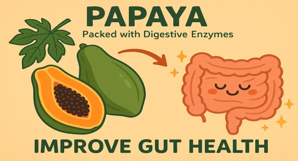 Illustration of papaya and a happy intestine emphasizing how papaya's digestive enzymes help boost your digestive system and improve gut health.