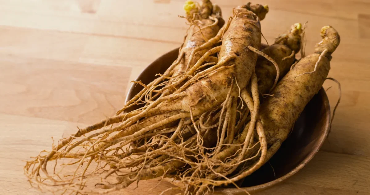 Ginseng (Panax Ginseng) a home remedies for ED